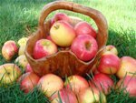 Лечение яблоками